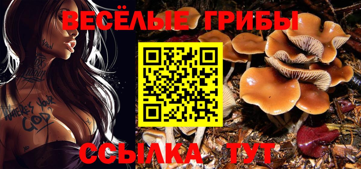 Галлюциногенные грибы Magic Shrooms  Вход с VPN  Галлюциногенные грибы Magic Shrooms  Ялуторовск 